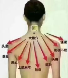 -金美秀养生瘦身