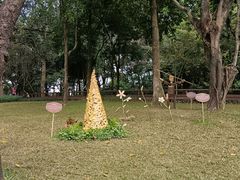 -云溪植物园