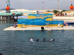 -秦皇岛乐岛海洋王国