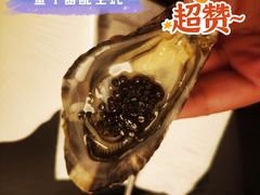 -斯普汇生蚝牛排馆(中骏世界城店)