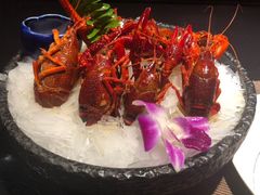 -割烹旭日本料理(龙湖狮山天街店)