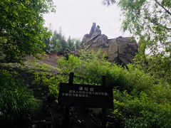 -峡谷浮石林景区