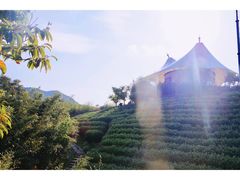 -帐篷客·溪龙茶谷度假酒店