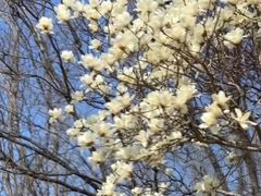 -济南国际园博园