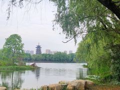 -洋湖国家湿地公园