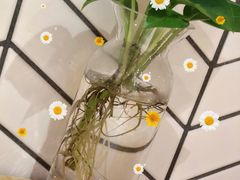 -炖物24章·顺时轻养茶(杭州保利时光里店)