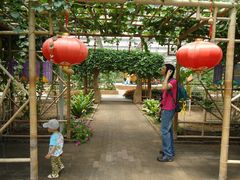 景点-观光南瓜园