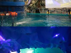 -威海华夏城景区