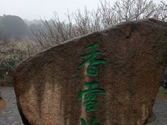 -香雪海