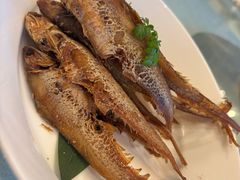 -上海和平饭店龙凤厅 Dragon Phoenix
