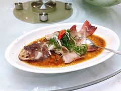 野生东星斑-渔民新村(番禺总店)