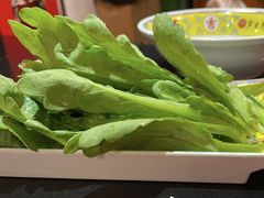 茼蒿-芦月轩羊蝎子(劲松店)