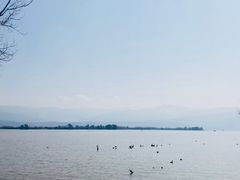 -西昌邛海湿地