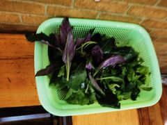 -丁记火锅·酸汤牛肉