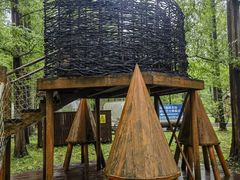 -黄海国家森林公园