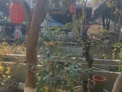 -阿巧茶庄