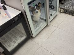 -FAELING PETS美天灵宠物(富力广场店)