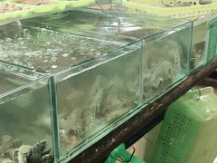 -班赞海鲜市场