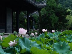 -兰亭风景区