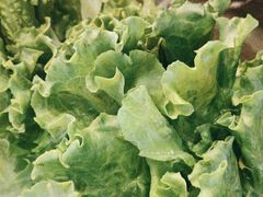 -秦炉烤肉(财富中心店)