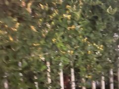 -重庆特色冷锅鱼(武大店)