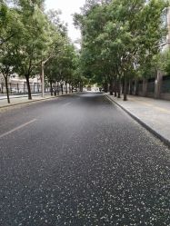 -苗塑堂减肥艾灸