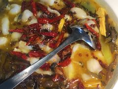 馋嘴酸菜鱼-吴氏老妈·23年家常菜(古城店)