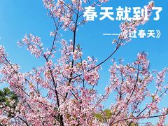 -新江湾城公园
