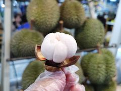 -都念榴莲·城市榴莲