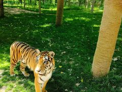 -北京野生动物园