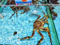 -渔民新村(番禺总店)