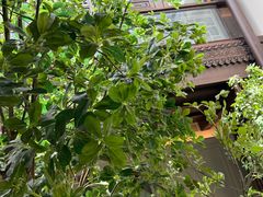 -狮王府淮扬菜(夫子庙老门东店)