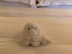 -三亚海棠湾仁恒皇冠假日酒店·大堂吧