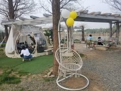 -安德鲁户外烧烤帐篷营地(马泉营店)