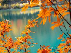 -叠溪松坪沟景区