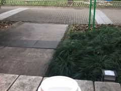 -星巴克(人民公园店)