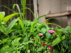 -艾加柒克蛋糕茶歇甜品台(春熙路店)