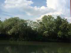 -西湖游船