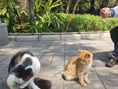 -晓港公园
