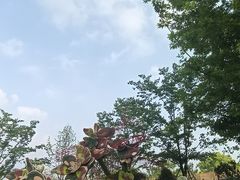 -上海植物园-4号门售票处