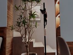 -C Cafe(朵云书院·戏剧店)