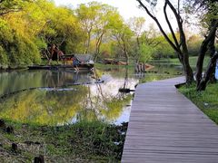 -西溪国家湿地公园