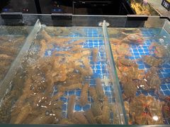 -闽海肴(北辰荟店)