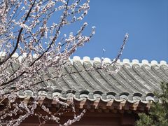 -三里河公园