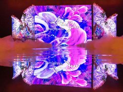 -中谷小南国花园酒店·宴会厅