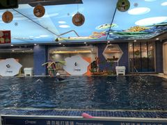 -戊辰亲子游泳俱乐部