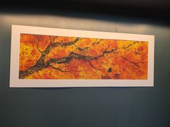 -思南书局(复兴中路店)