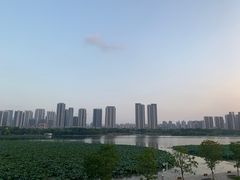 -月湖风景区
