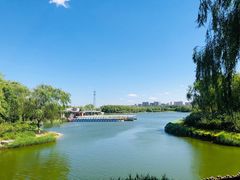 -大兴滨河森林公园