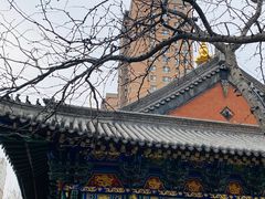 -护国法轮寺